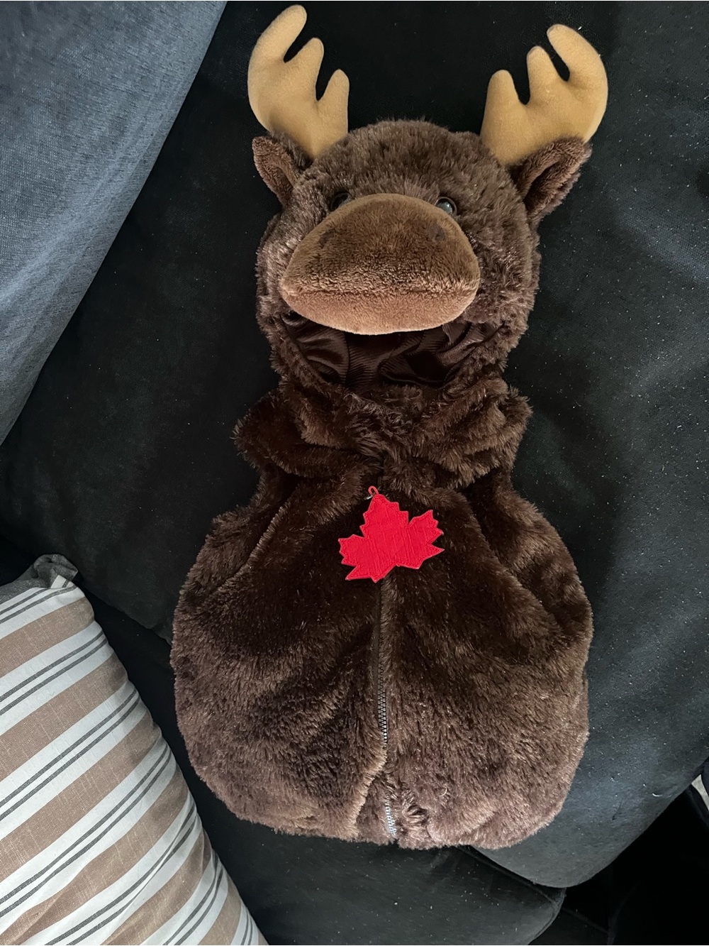 Kids / Baby canada Moose Halloween Costume Hoodie zippered warm size 6-9 months